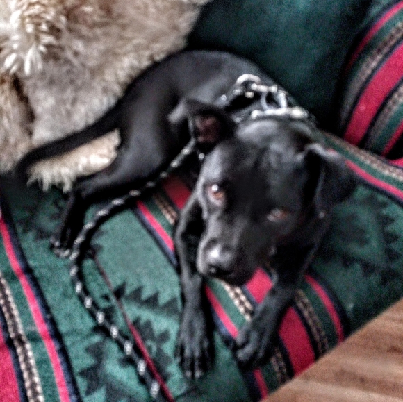 Meet your Posher, Laura - Picture 16 of 16